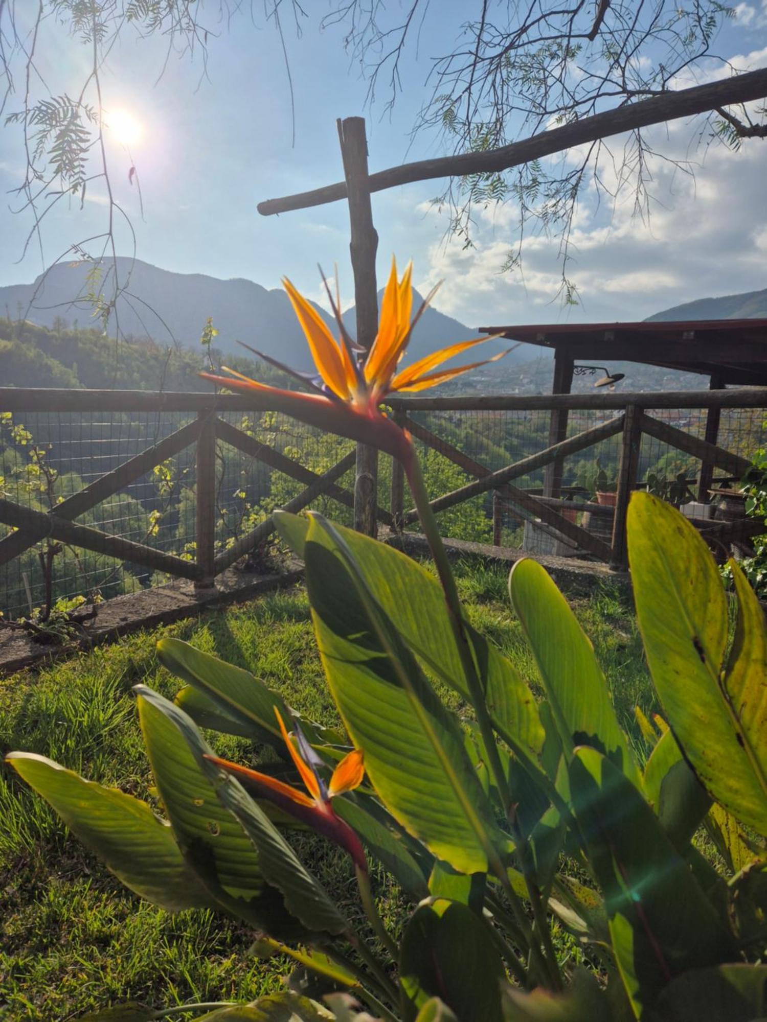 La Cicogna Bed & Breakfast Agerola Luaran gambar
